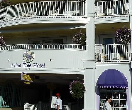 Lilac Tree Suites Insula Mackinac Exterior foto